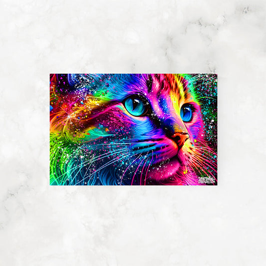 COLORFUL CAT