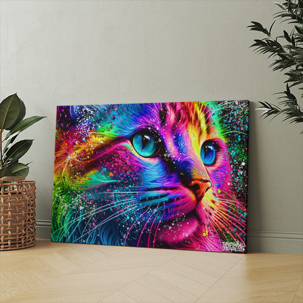 COLORFUL CAT