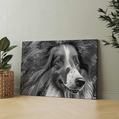 MY COLLIE DOG