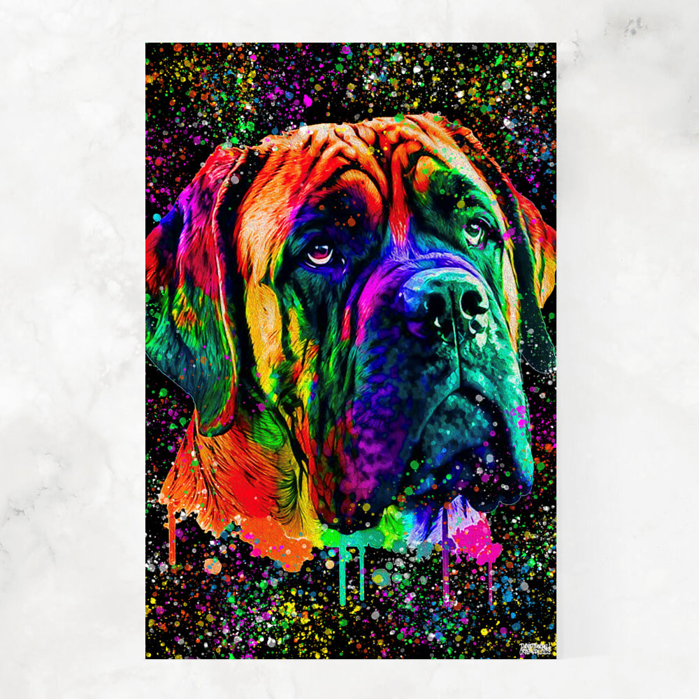 MASTIFF BEAUTY