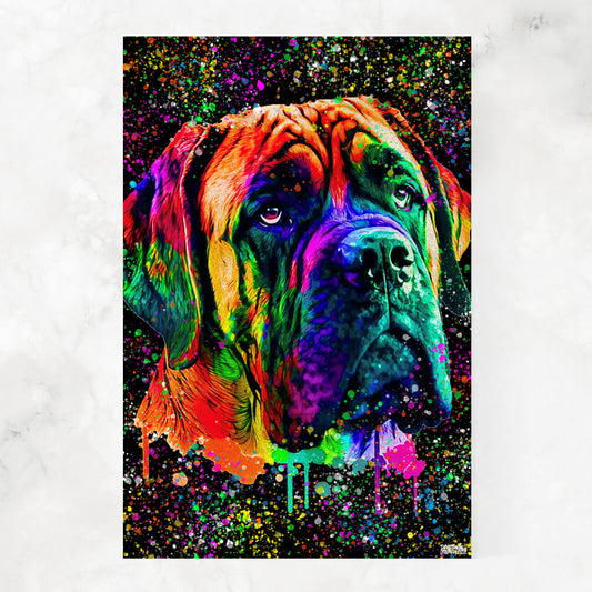 MASTIFF BEAUTY