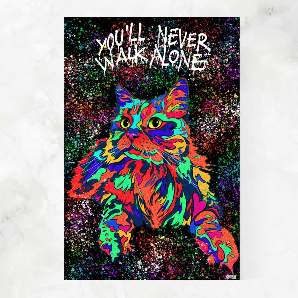 CAT NEVER ALONE