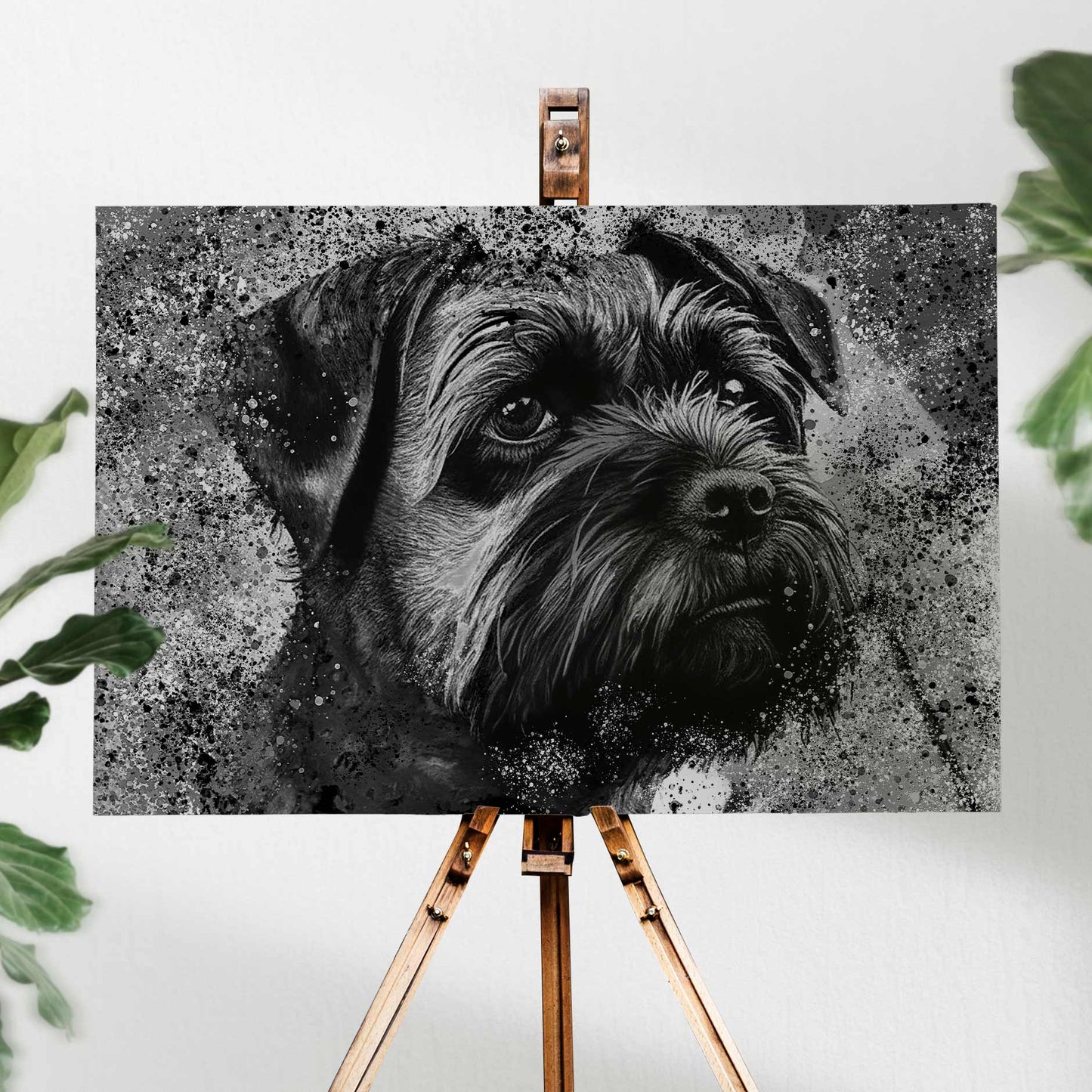 BORDER TERRIER