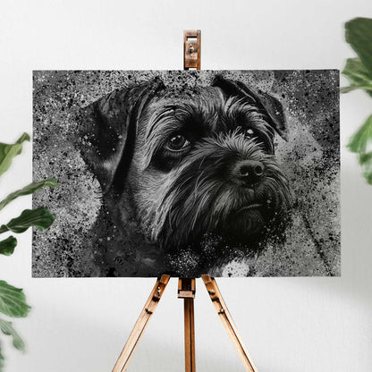 BORDER TERRIER