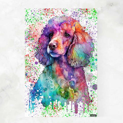 COLOR POODLE SPLASH