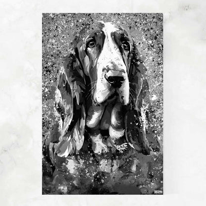 BLACK & WHITE BASSET