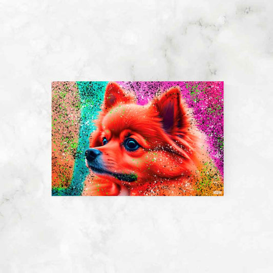 COLORFUL POMERANIAN