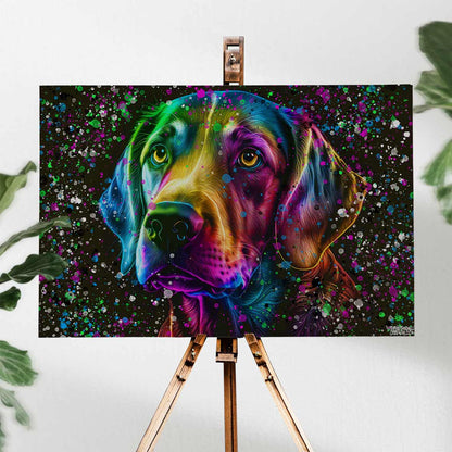 COLORFUL LABRADOR