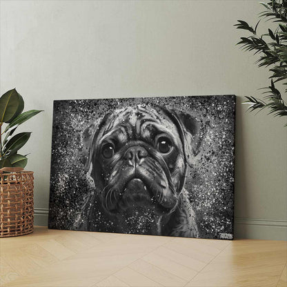 PUG IN BLACK & WHITE