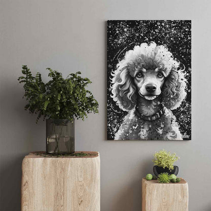 POODLE BLACK & WHITE