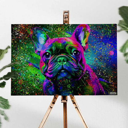 COLORFUL FRENCHIE