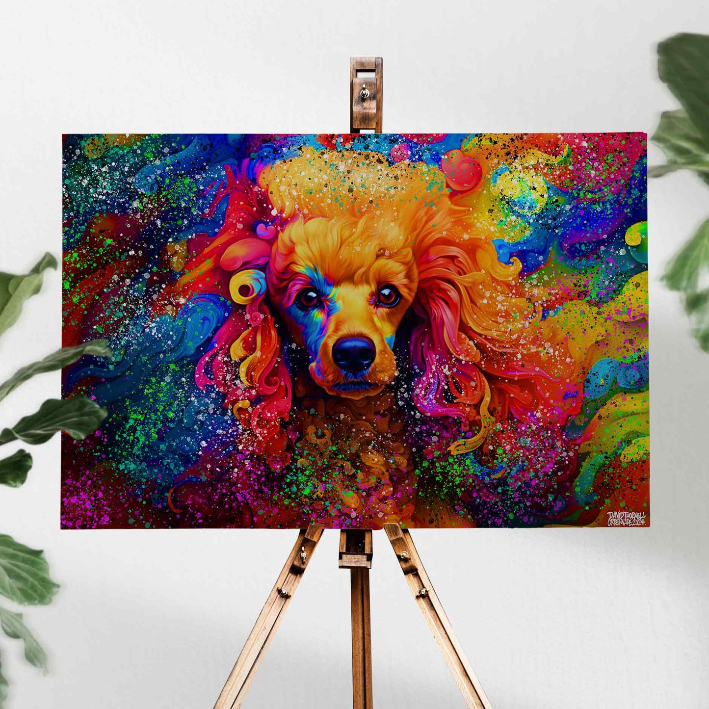 POODLE RAINBOW