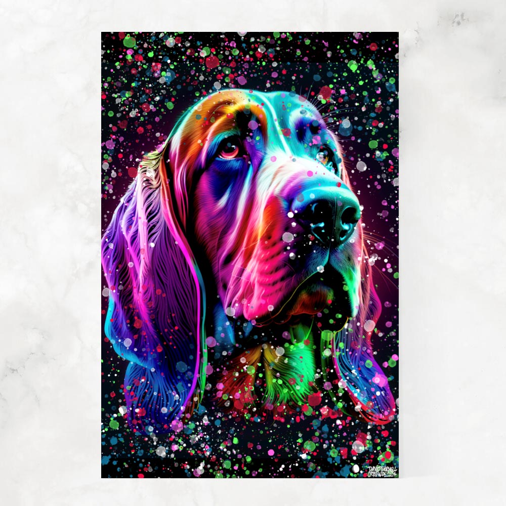 AMAZING BASSET