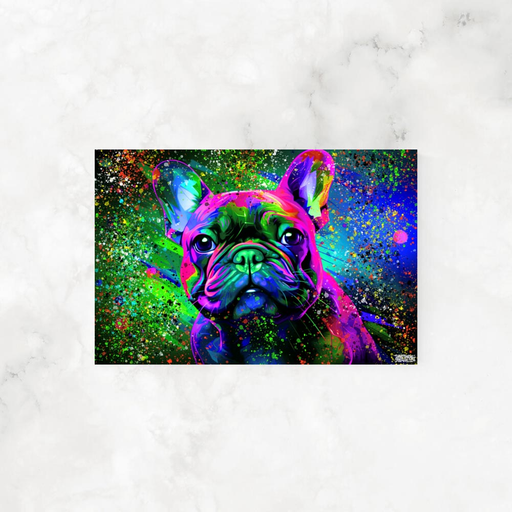 COLORFUL FRENCHIE