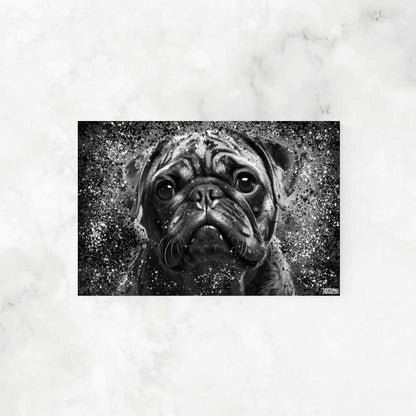 PUG IN BLACK & WHITE