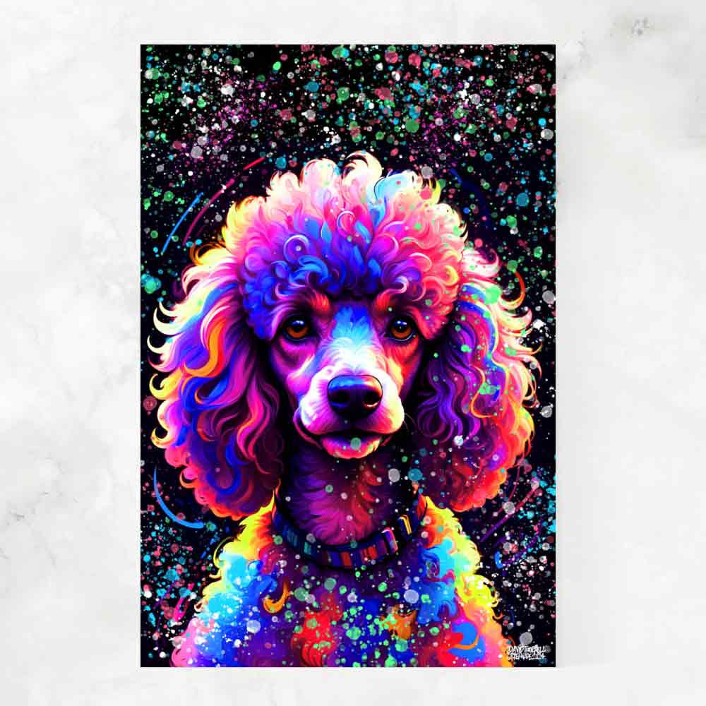 DREAMY POODLE