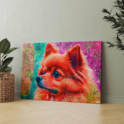 COLORFUL POMERANIAN