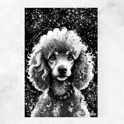 POODLE BLACK & WHITE