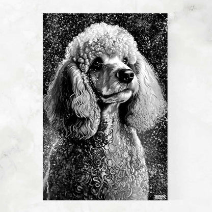 BLACK & WHITE POODLE