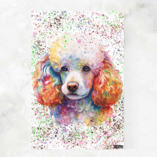 A POODLE DREAM