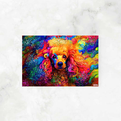 POODLE RAINBOW