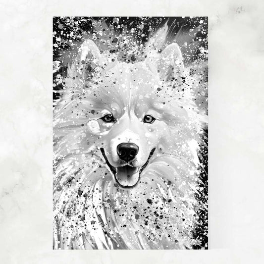 SAMOYED BLACK & WHITE