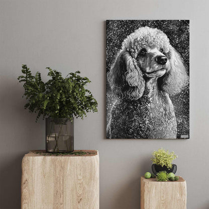 BLACK & WHITE POODLE