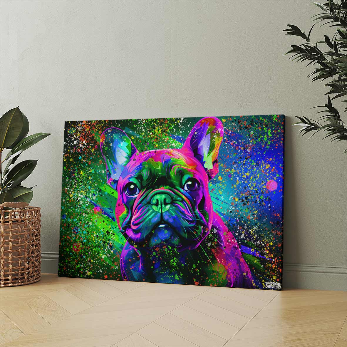 COLORFUL FRENCHIE