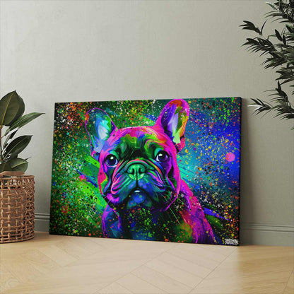 COLORFUL FRENCHIE