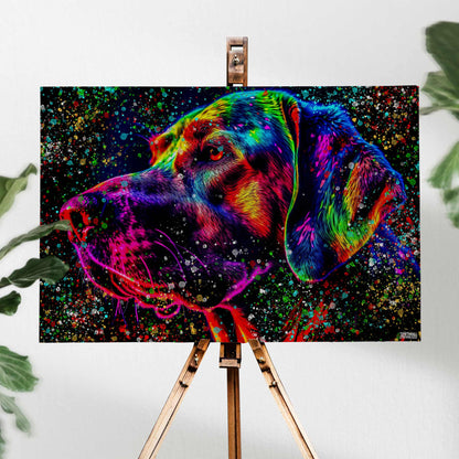 LABRADOR RAINBOW